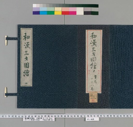 Wakan Sansai Zue: 105 Volumes, 1 Volume Preface, 1 Volume Appendix [1]