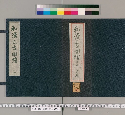 Wakan Sansai Zue: 105 Volumes, 1 Volume Preface, 1 Volume Appendix [19]