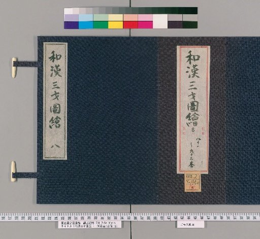 Wakan Sansai Zue: 105 Volumes, 1 Volume of Preface, 1 Volume of Appendix [63]