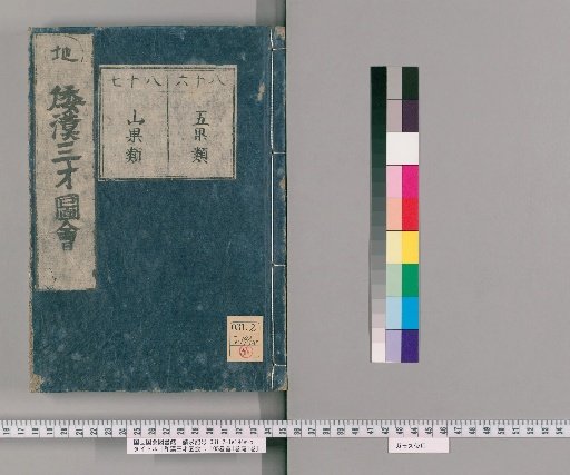 Wakan Sansai Zue: 105 Volumes, 1 Volume of Preface, 1 Volume of Appendix [67]