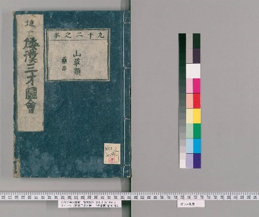 Wakan Sansai Zue: 105 Volumes, 1 Volume of Preface, 1 Volume of Appendix [69]