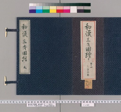 Wakan Sansai Zue: 105 Volumes, 1 Volume of Preface, 1 Volume of Appendix [72]