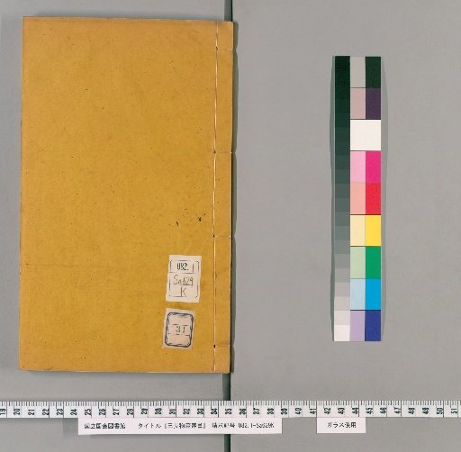 Collection of the Sanchozo, Volume 31