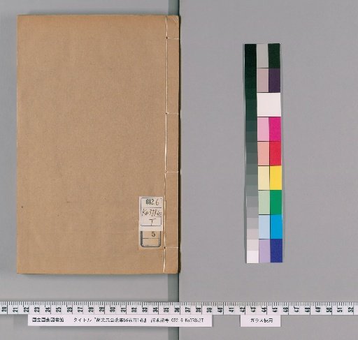 Remnant Works of Lord Hu Wenzhong, 86 Volumes with 1 Volume of Prefaces