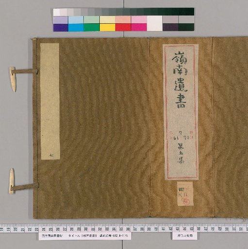 Lingnan Collected Works, 5th Series, Volume 61