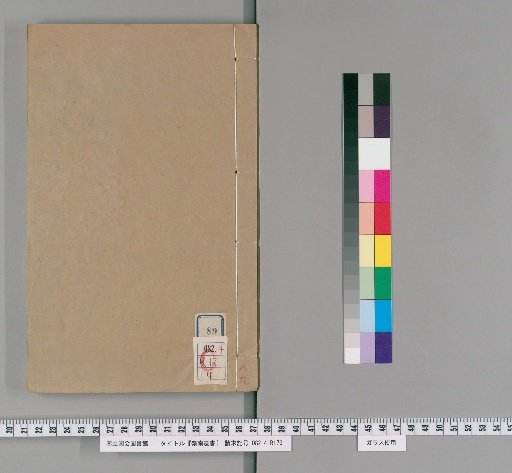 Lingnan Remnant Books, Collection 6, Volume 89