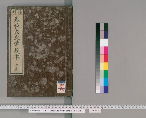 Critical Edition of the Zuo Commentary on the Spring and Autumn Annals, 30 Volumes [6]