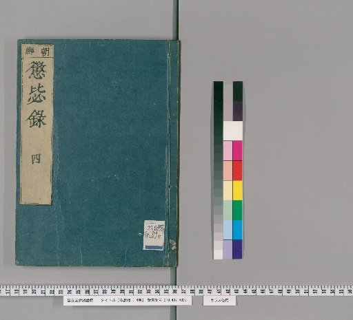 Record of Warning from Past Mistakes: 4 volumes [4]