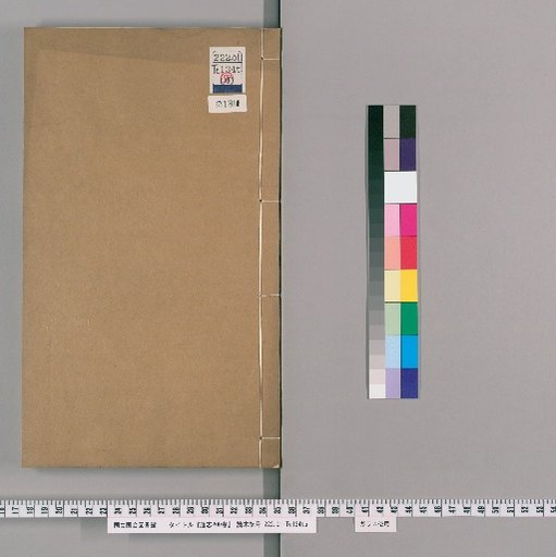 Tongzhi, 200 Volumes [18]