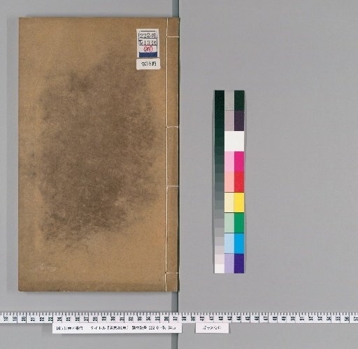 Tongzhi, 200 Volumes [38]