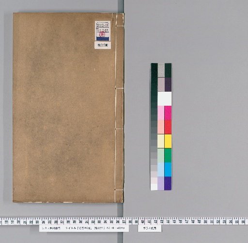 Tongzhi, 200 Volumes [39]
