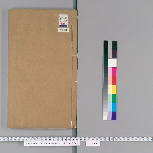 Tongzhi, 200 Volumes [47]