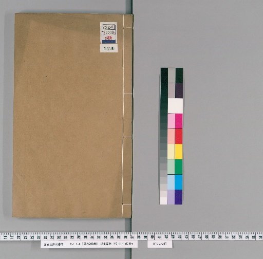 Tongzhi, 200 Volumes [49]