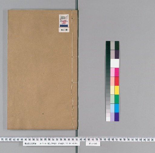 Tongzhi, 200 Volumes [63]