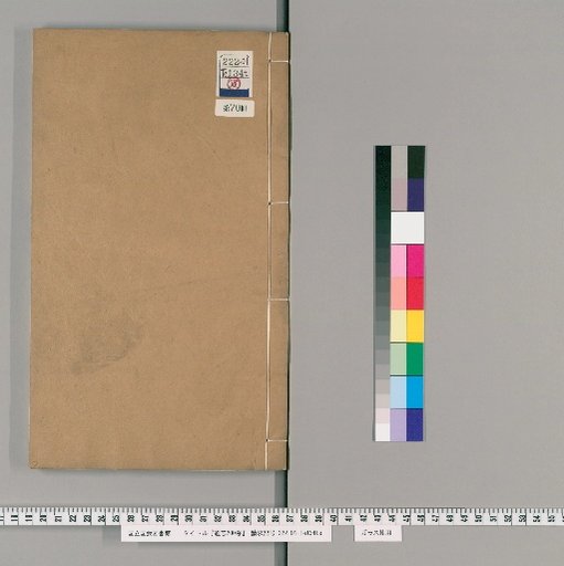 Tongzhi, 200 Volumes [70]