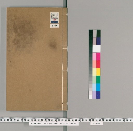 Tongzhi, 200 Volumes [81]