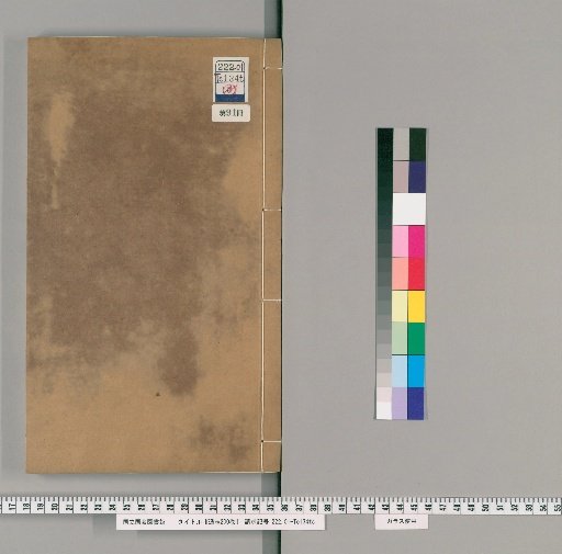 Tongzhi, 200 Volumes [91]