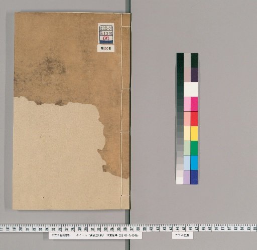 Tongzhi, 200 Volumes [100]