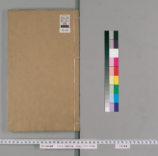 Tongzhi, 200 Volumes [119]