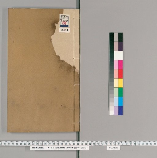 Tongzhi, 200 Volumes