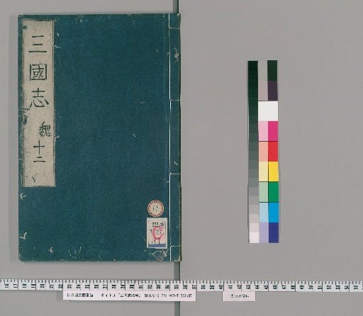 Records of the Three Kingdoms, Volume 65 [11]
