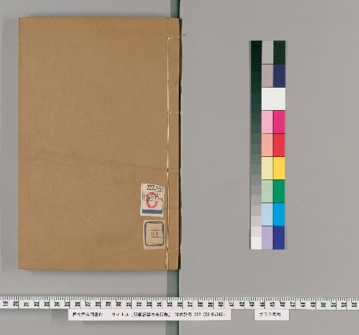 Records of the Ming Dynasty, 80 Volumes [21]