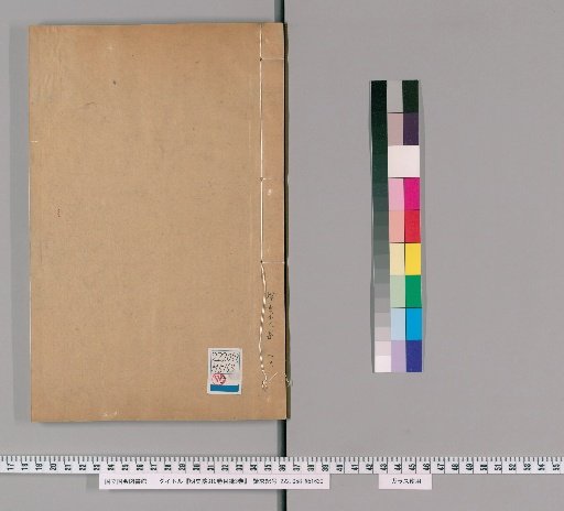 Draft History of Ming, 310 Volumes, with 3 Volumes of Contents [20]