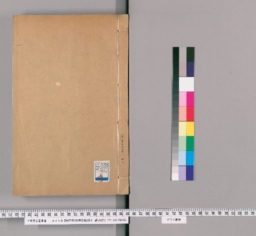 Draft History of the Ming, 310 volumes, Catalogue 3 volumes [40]
