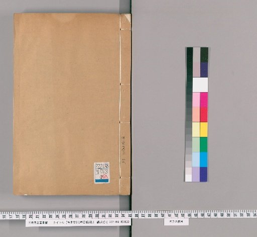 Draft History of Ming, 310 volumes; Index, 3 volumes [42]