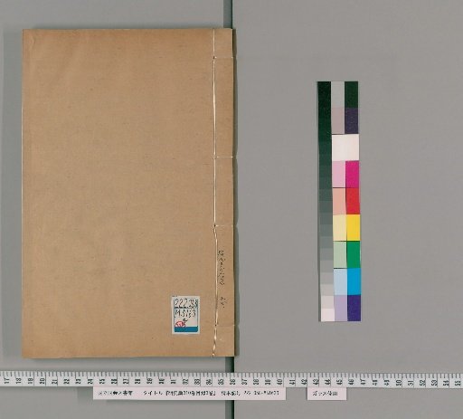 Draft History of Ming, 310 Volumes; Catalogue, 3 Volumes [54]