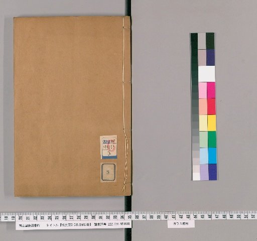 Draft History of Ming, 310 volumes; Index, 3 volumes [5]