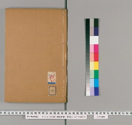 Draft History of Ming, 310 vols, Catalogue 3 vols [10]