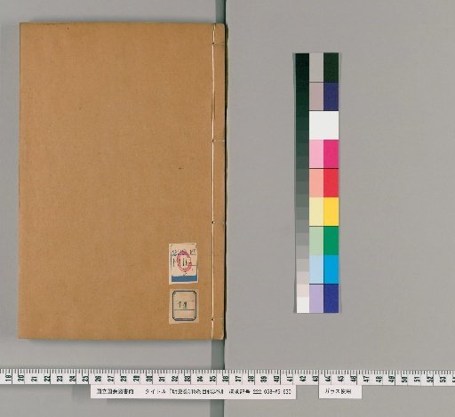 Draft History of Ming, 310 Volumes, 3 Volumes of Index [14]