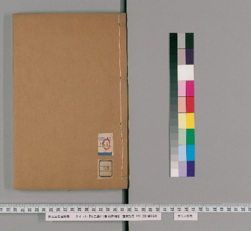 Draft History of the Ming, 310 Volumes with 3 Volumes of Index [23]