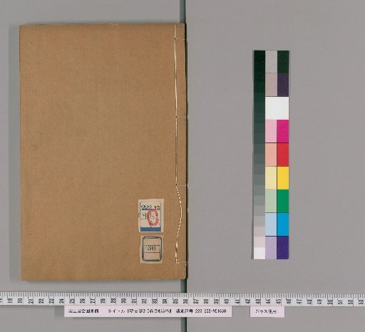 Draft History of Ming, 310 Volumes, 3 Volumes of Index [30]