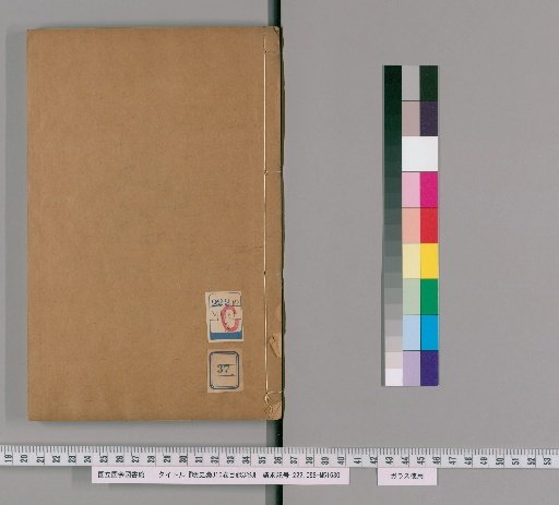 Draft History of Ming, 310 Volumes, Catalogue 3 Volumes [37]