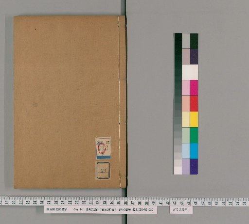 Draft History of Ming, 310 volumes; Catalogue, 3 volumes [43]