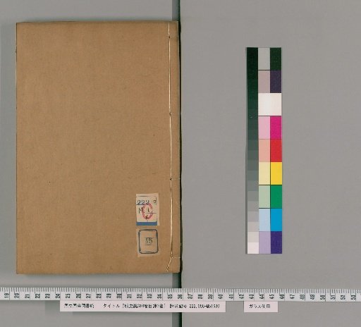 Draft History of the Ming, 310 Volumes, with 3 Volumes of Index [45]