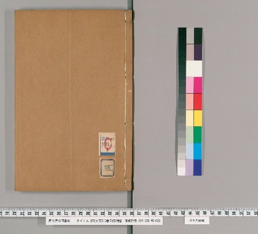 Draft History of Ming, Volume 310, with 3 Volumes of Contents [55]