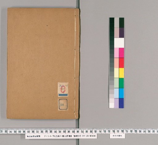 Draft History of the Ming, 310 Volumes with 3 Volumes of Catalog [60]