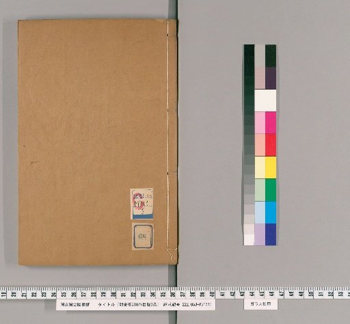 Draft History of the Ming, 310 Volumes, 3 Volumes of Index [68]
