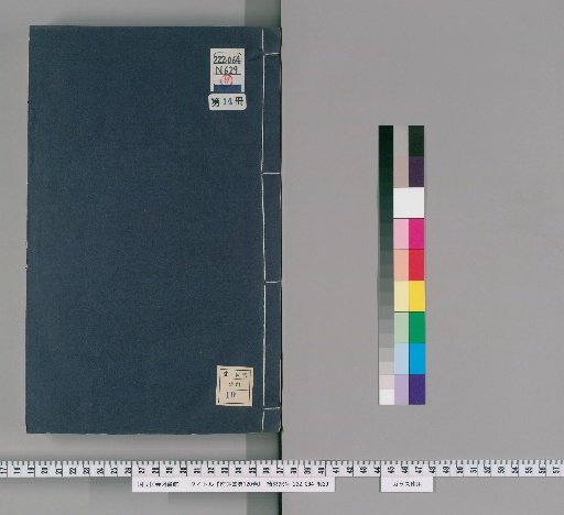 Imperial Tour of the South, 120 Volumes [14]
