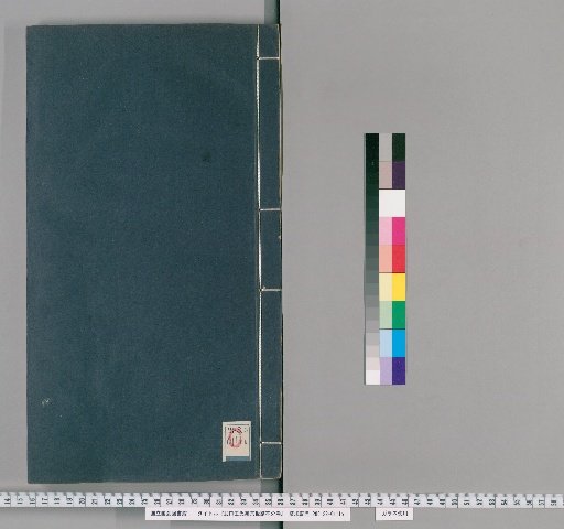 Wukou Wang Family Genealogy, Unnumbered Volumes [2]