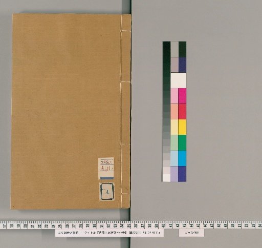 Zhiyang Wang Family Genealogy, Unnumbered Volumes [4]