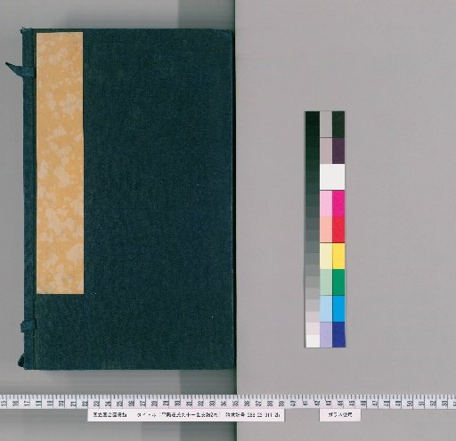 The 91st Generation Genealogy of the Wang Family of Pingyang, 2 volumes [1]