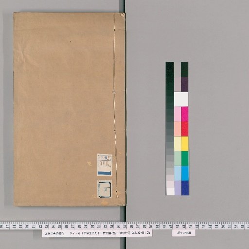 Pingyang Wang Family Genealogy, 91st Generation Branch, 2 Volumes [2]