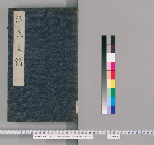 Wang Family Genealogy, Unnumbered Volumes [1]