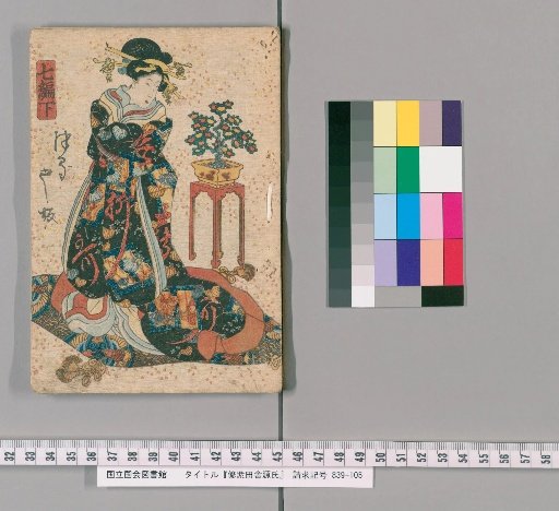 The Purple Robe of the Country: A Tale of Genji, Part 7, Lower