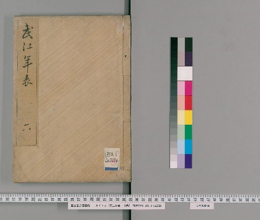 Chronology of Edo, Volume 8 [6]