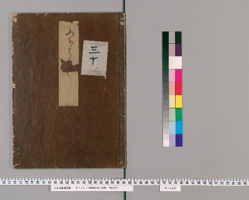 The Tale of Genji, 54 Volumes [30]